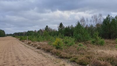 Foto zur Meldung: Starke Partnerschaft im Waldbrandschutz im Wildnisgebiet Jüterbog