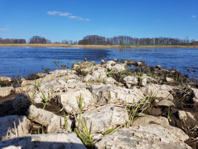 Hochwassersituation an der Oder - Lageberichte des LfU (Bild vergrößern)