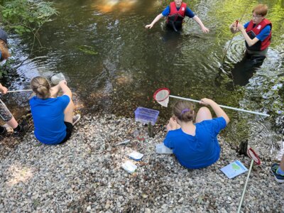 Foto zur Meldung: Naturwissenschaftliches Arbeiten im Wassercamp 2024 im Wildpark Eekholt