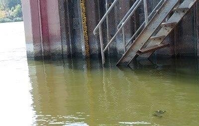 Aktueller Pegel an der Westoder