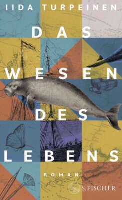 Iida Turpeinen - Das Wesen des Lebens