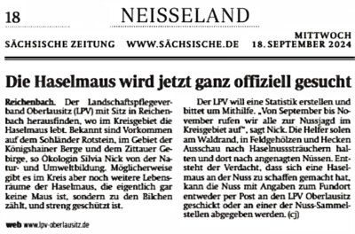 Meldung: Die Haselmaus wird jetzt ganz offiziell gesucht