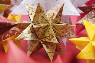 Foto: pixabay | "Bascetta"-Weihnachtsstern.