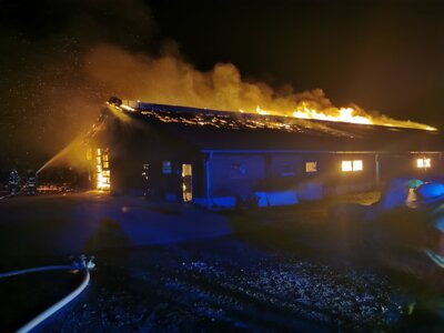 Link zu: Kuhstall steht in Flammen: mehrere Tiere sterben