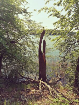 Angst (Bild vergrößern)