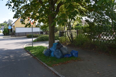 Wilde Müllablagerung (Bild vergr&ouml;&szlig;ern)