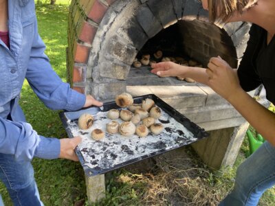 Vom Korn zum Brot - dritter Jahrgang besucht Biologisches Zentrum