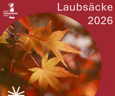 Alles zur "Laubsackaktion" 2026 (Bild vergr&ouml;&szlig;ern)