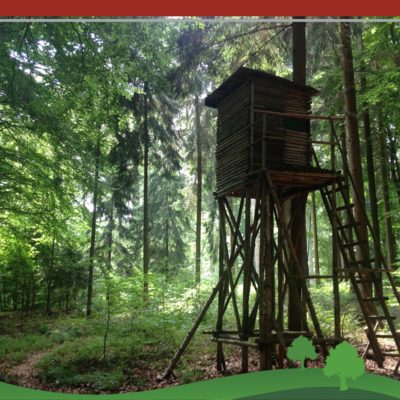 revierübergreifende Drückjagd am 7. Dezember (Bild vergr&ouml;&szlig;ern)