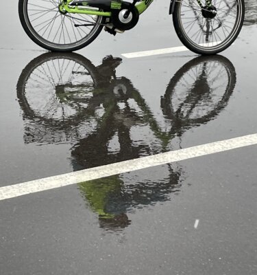Fahrrad Survival im Herbst