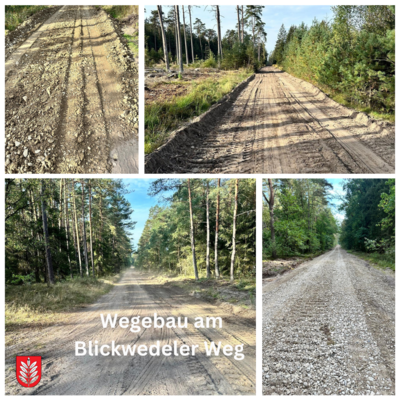 Blickwedeler Weg (Bild vergrößern)