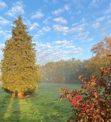 Meldung: Herbstferien / Trainingspause