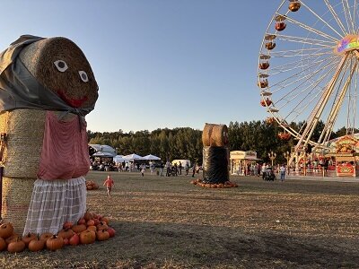 Foto zur Meldung: Ein Wochenende voller Höhepunkte: Kreis-Erntefest in Peickwitz begeisterte über 10.000 Besucher mit Vielfalt, Tradition und internationalem Flair