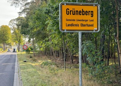 Grüneberg bremst ab (Bild vergrößern)