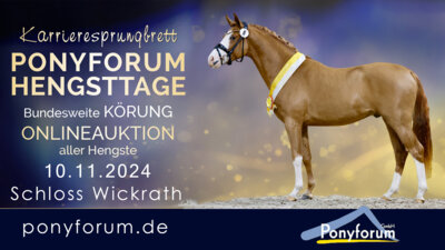 Ponyforum Hengsttage 2024 – jetzt anmelden! (Bild vergrößern)