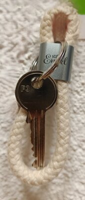 Schlüssel gefunden! (Bild vergrößern)