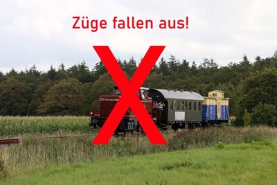 Züge fallen aus