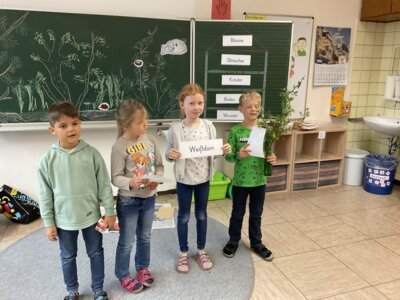 Schlaue Heckenforscher