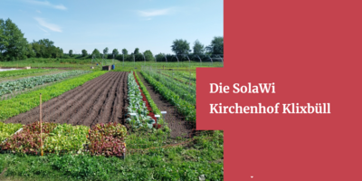 Foto von der Titelseite der Homepage der Solawi Klioxbüll (Bild vergrößern)