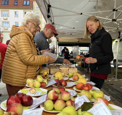 Apfelmarkt in Wittenberge I Foto: Oliver Krause (Bild vergrößern)