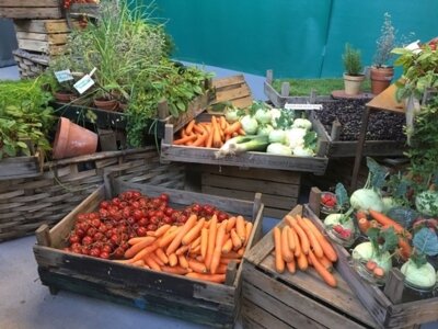 Praktische Tipps für Ernte und Lagerung von Obst und Gemüse aus dem eigenen Garten (Bild vergrößern)