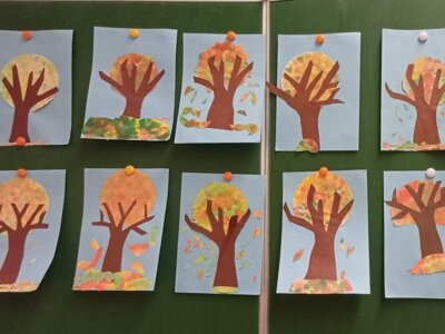 Klasse 2c: Herbstblumen
