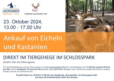 Ankauf von Eicheln und Kastanien für das Tiergehege in Lauchhammer