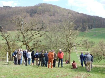 Foto zur Meldung: Jetzt anmelden! Eintägige Obstbaumschnittkurse Nov 2024 & Jahreskurs 
