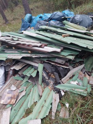 Belohnung ausgesetzt! Müll im Wald Pitschen-Pickel. (Bild vergr&ouml;&szlig;ern)
