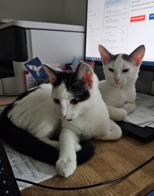 Jacky und Kenji (Bild vergrößern)