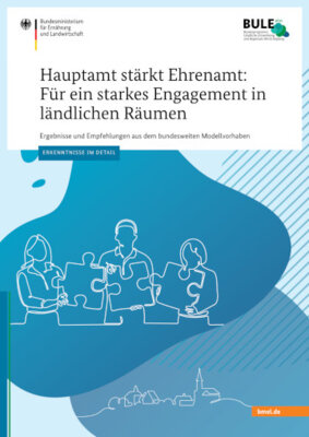Ergebnisse und Empfehlungen aus dem Projekt "Hauptamt stärkt Ehrenamt"