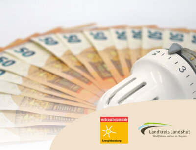 Kostenlose Energieberatung im Landkreis (Bild vergrößern)