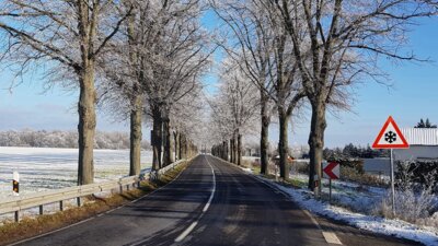 Schon im Herbst kann es gefährlich glatt werden (Bild vergrößern)