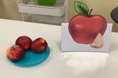 Klasse 1b: Rund um den Apfel