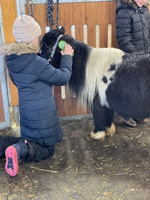 Pferdeerlebnistag für Kinder zwischen 6 und 10 Jahren (Bild vergrößern)