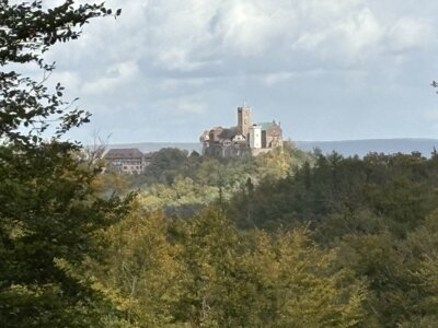Die Wartburg (Bild vergrößern)