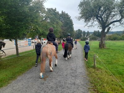 Meldung: Klassenfahrt der Klasse 3a zum Reiterhof Stude