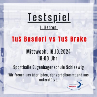 Volleyball - 1. Herren Testspiel