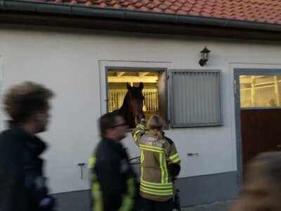 Foto zur Meldung: OTS auf Reiterhof