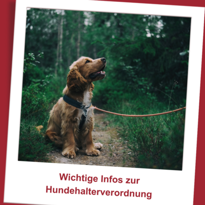Symbolbild mit Canva erstellt (Bild vergr&ouml;&szlig;ern)
