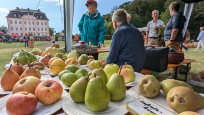 Foto zur Meldung: Streuobstmesse - ein Erfolg trotz Ernteausfalls