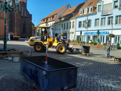 Foto zur Meldung: Planspiel „Wir gestalten unseren Markt“ mit vielen interessanten Ideen