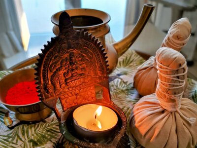Ayurveda auf dem Prüfstand