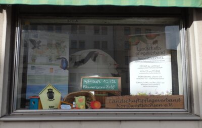 Der LPV stellt sich in der Galerie am Markt vor (Bild vergrößern)