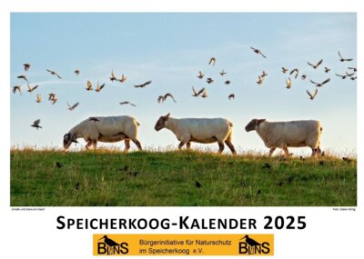 Foto zur Meldung: JETZT den Speicherkoog-Kalender für 2025 bestellen