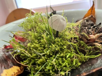 Pilze selbst herstellen und gestalten (Bild vergrößern)