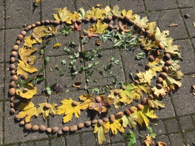 Meldung: Naturmandalas der Umwelt-AG