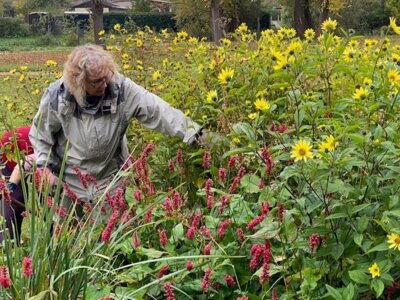 Ab ins Beet: Herbstputz auf dem Laga-Gelände