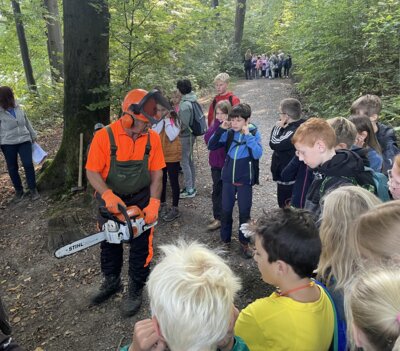 Waldjugendspiele (Bild vergrößern)