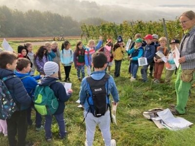 Kulturwandertag zum Thema: ,,Von Reben, Eidechsen und viel mehr" (Bild vergrößern)